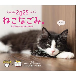 2025년 캘린더 고양이 벽걸이 달력 너무 귀여운 아기고양이 달력 고미