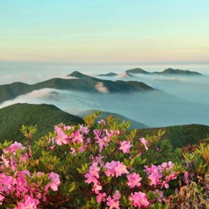 [덕유산] 향적봉 곤도라 무주구천동 당일투어 KTX기차여행[서울출발]