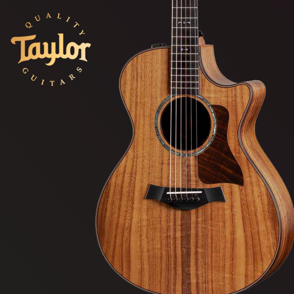 테일러 TAYLOR 722ce 어쿠스틱 통기타 올솔리드 GC바디