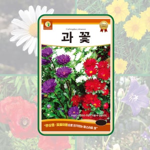 과꽃 1kg 관상용과 꽃꽃이 용으로 주로 쓰이는 탐스러운 꽃 씨앗 다농