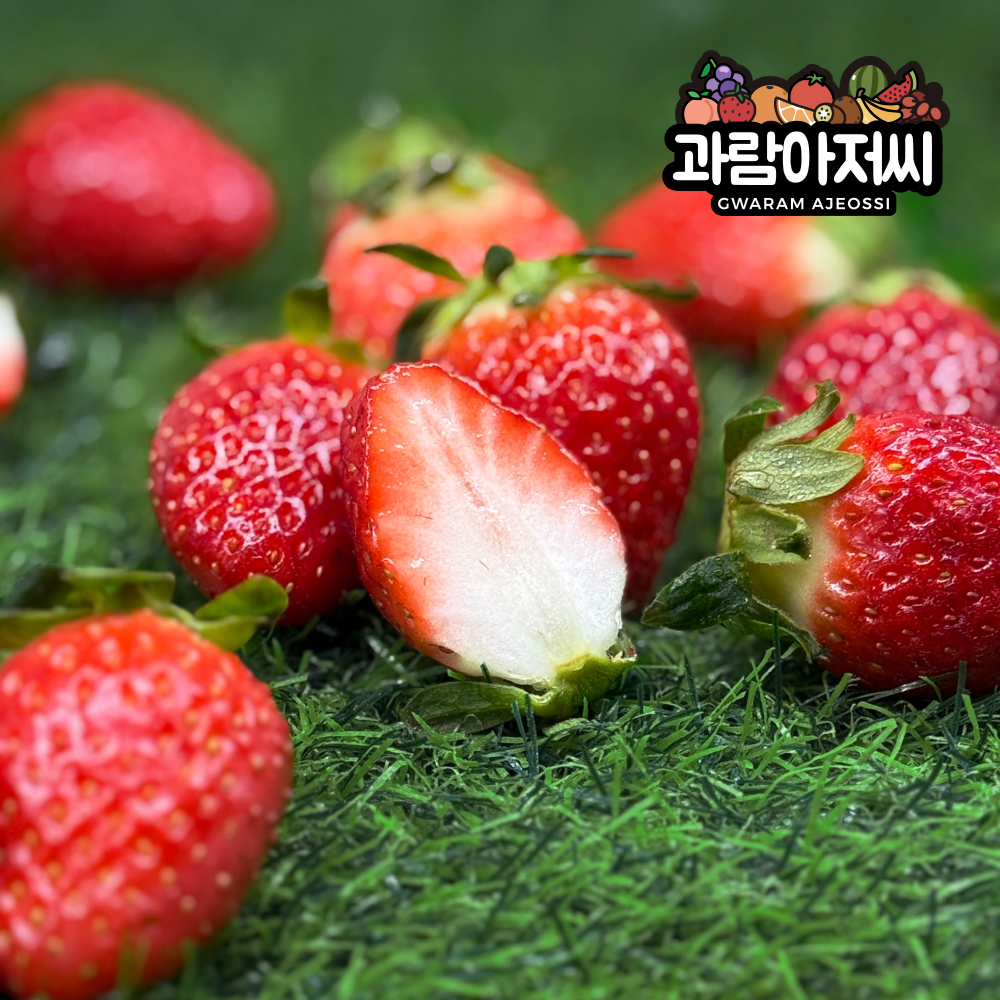 딸기 백리향 설향 금실 킹스베리 신데렐라 비타베리 홍희 산타 죽향 메리퀸 하얀딸기