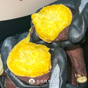 해남 밤고구마 햇밤고구마 5kg 10kg 세척 황금 고구마 대용량