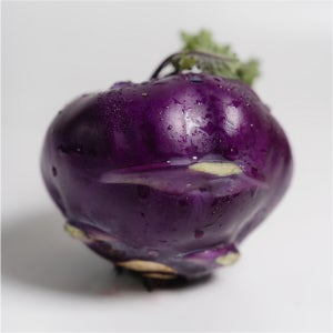 2025 제주 햇 콜라비 달콤 아삭 GAP 신선채소 과일처럼 먹는 야채 10kg, 1개