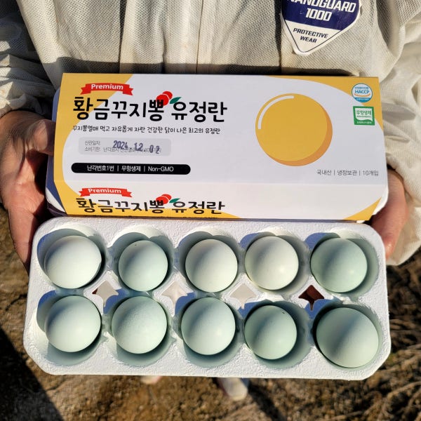 난각번호 1번 청계란 꾸지뽕 먹고자란 자유방사 청계 유정란 프리미엄 청란 20구