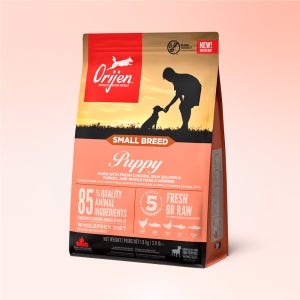오리젠 강아지사료 퍼피 스몰브리드, 1.8kg, 1개