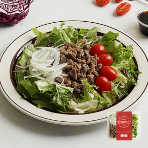 다신샵 당일제조 한스푼샐러드 불고기&오리엔탈 190g 6팩 / 정기구독 직장인점심 탄단지 다이어트식단 도시락배달 양상추