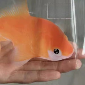 SPIRELLA PEVA 욕실 샤워 커튼 3D 금붕어 방수 투명커텐 입체