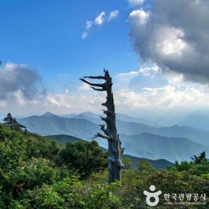[덕유산] 향적봉 곤도라 당일투어 트래킹패키지 KTX기차여행 부산출발