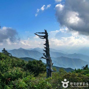 덕유산 향적봉 설천봉 곤도라 당일투어 트래킹패키지 KTX기차여행 [부산 울산출발]