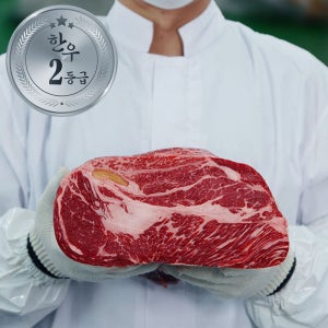 한우 2등급 등심 꽃등심 채끝살 한우 살치살 250g+250g
