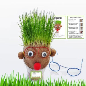 잔디인형 만들기 키우기 키트 기르기 식물 키우기(설명서포함)