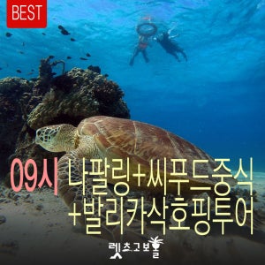 [렛츠고보홀 9시 호핑투어] 나팔링 씨푸드 발리카삭(거북이/열대어) 각앙1회더 버진아일랜드