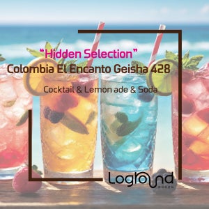 히든 셀렉션 콜롬비아 엘 엔칸토 게이샤 428(500g)