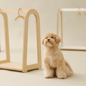 [로맨무드] 러브레터 아치형 행거 강아지 고양이 프리미엄 원목 아치 화이트