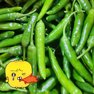 프레치 국산 청양고추 매운고추 땡초 못난이 더매운 상 10kg, 1개