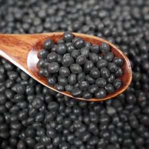 직접 재배한 국산 햇콩 쥐눈이콩 약콩 검은콩 1kg