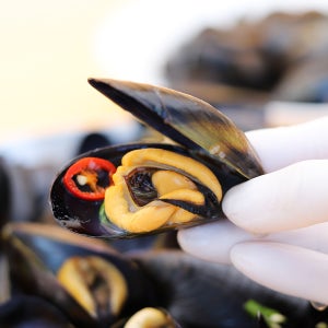 수염없는 통영 자연산 다듬이 햇홍합 2kg