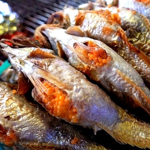 국내산 동해안 제철 생물 알 급냉 햇 알배기 도루묵 양미리 구이 산지직송 500g 1kg