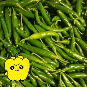 프레치 국산 못난이 햇 청양고추 매운고추 땡초 5kg, 1개