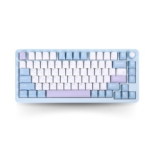 풀알루미늄 기계식 키보드 풀윤활 텐키리스 사무용 예쁜 키보드 큐센 R75 블루퍼플, 퍼플축 V1