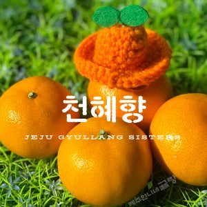 제주언니네귤랑​ 고당도 제주 천혜향 가정용 4.5kg