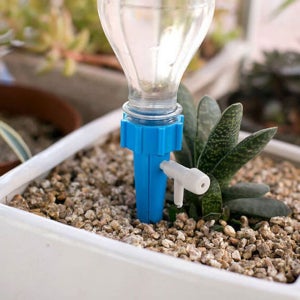 화분물주기 자동물주기 식물