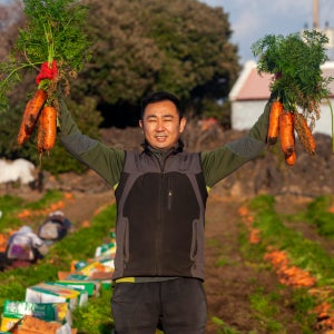 제주 구좌 흙당근 5kg 10kg 대용량 국내산 햇당근 산지직송