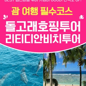 괌 돌핀크루즈 + 괌 리티디안 프라이빗 비치 콤보 비치 돌고래 투어 패키지 여행