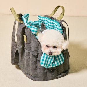 방수 원단 강아지 이동가방 애견 이동장 슬링백