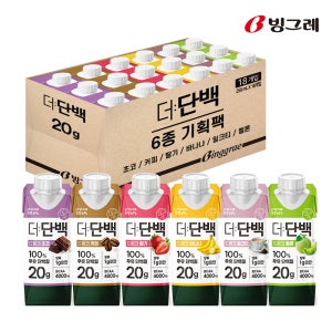빙그레 더단백 250ml 6종 혼합 18개 단백질 음료