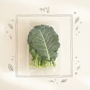한끼채소 국내산 케일 150g/1봉 1인가구 가정용