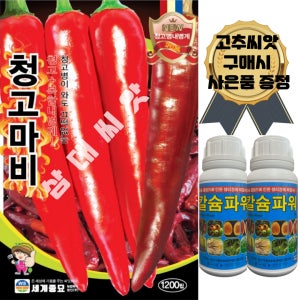 청고마비 복합내병계 건고추 청고병 칼라병 탄저병내병계 1200립