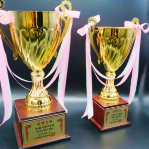 트로피 소량 제작 기념 학교 태권도 축구 검도 음악회 대회 행사 단체용 우승컵 -피닉스