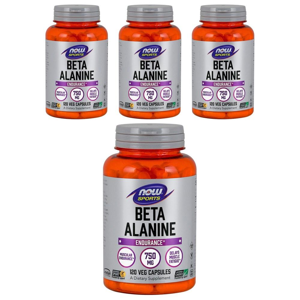 나우푸드 <b>베타 알라닌 750mg</b> 120정 4개