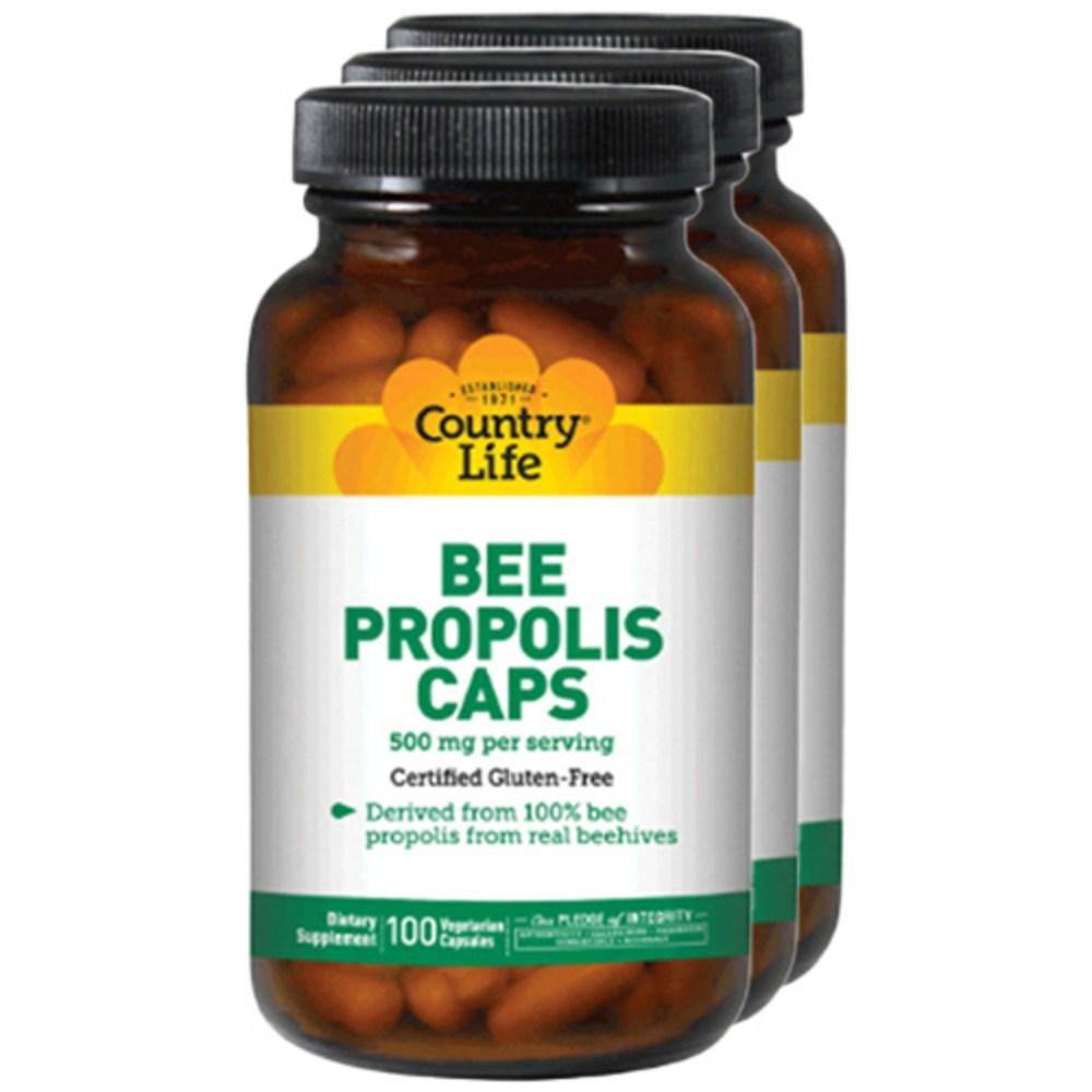 <b>컨트리라이프 프로폴리스</b> 비 500mg 100정 3개