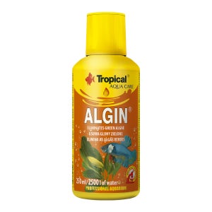 알긴 (Algin) 조류 이끼 제거제 bottle 250ml 깔끔하고 투명한 수조를 위한 선택