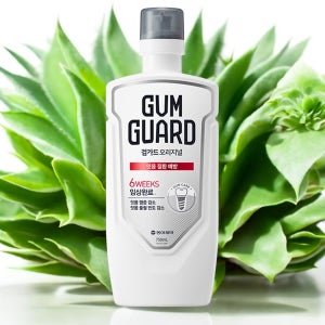코스트코 검가드 가정용 휴대용 가글 아침 잇몸 입냄새 구취 제거 구강청결제 750ml
