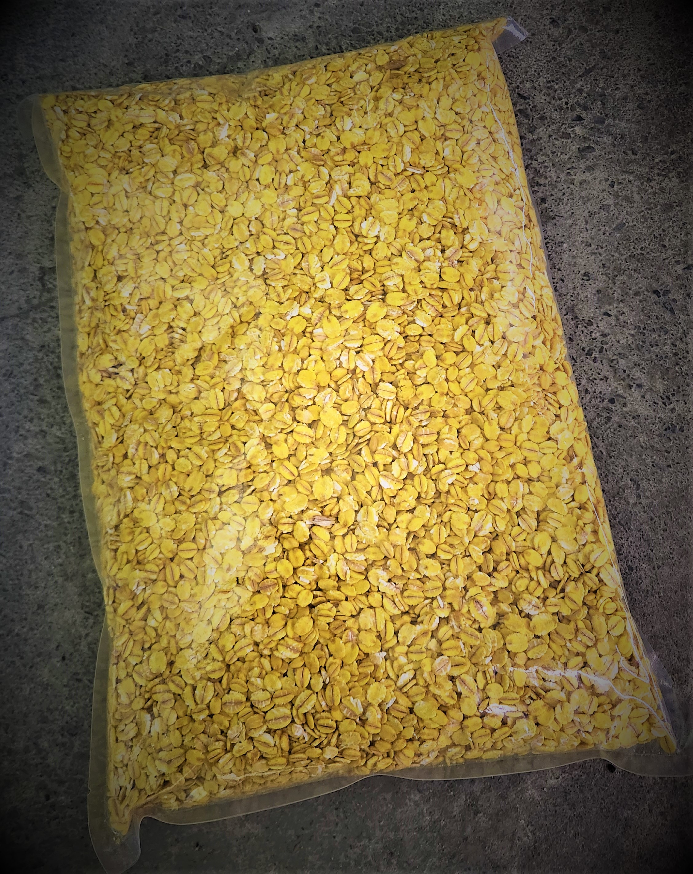 세아 황금압맥 1.5kg 덕용 대용량 삼우 폭탄황금압맥 금맥 감성돔 벵에돔 집어제 감성돔압맥 노랑색압맥 대물감성돔 밑밥 압맥보리 노랭이