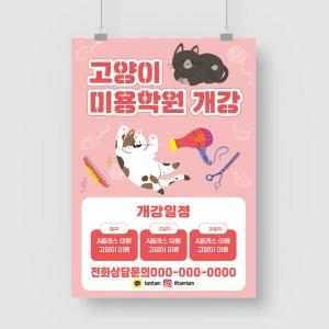 아트지 A5 단면 고양이 미용학원 애완묘 관리 케어 털 동물 미용사 선착순 개강 아카데미 전단지 A4 100장 1000장 소량 대량