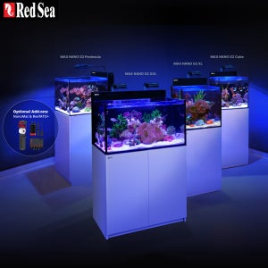 레드씨 Redsea 맥스 나노 G2 배면섬프 큐브 XL XXL 페닌슐라 수족관 어항 수조