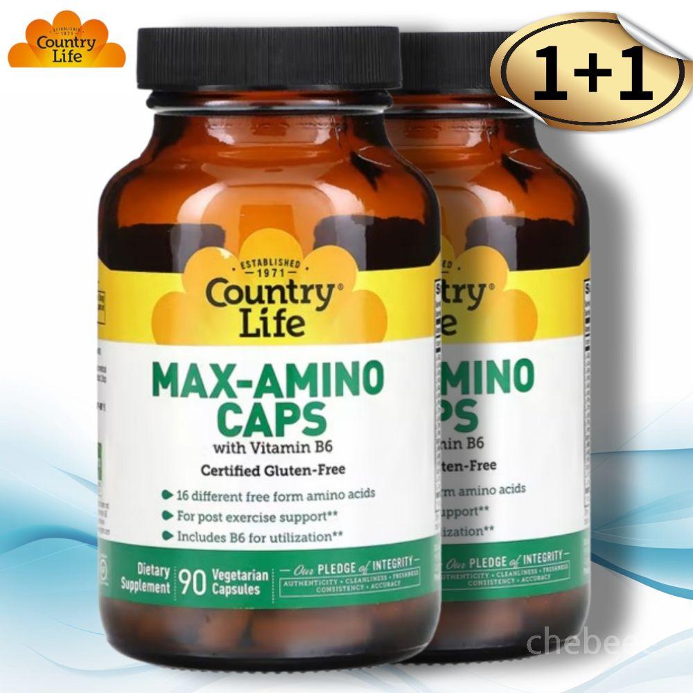 <b>컨트리라이프</b> 맥스 아미노 아미노산 비타민 B6 90캡슐 2병 글루탐산 라이신 <b>아르기닌</b>