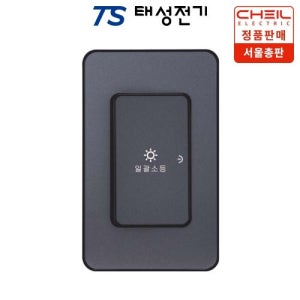 태성전기 제일전기 디아트 메탈그레이 일괄소등 스위치(20A)