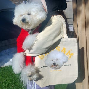 광고 메인 이미지