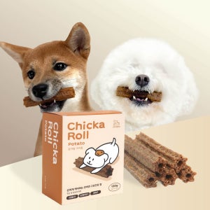 항균덴탈 프로폴리스 양치껌 치카롤추천 1BOX