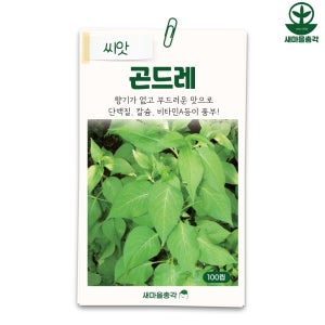 다농 곤드레씨앗 100립 고려엉겅퀴 산채 씨