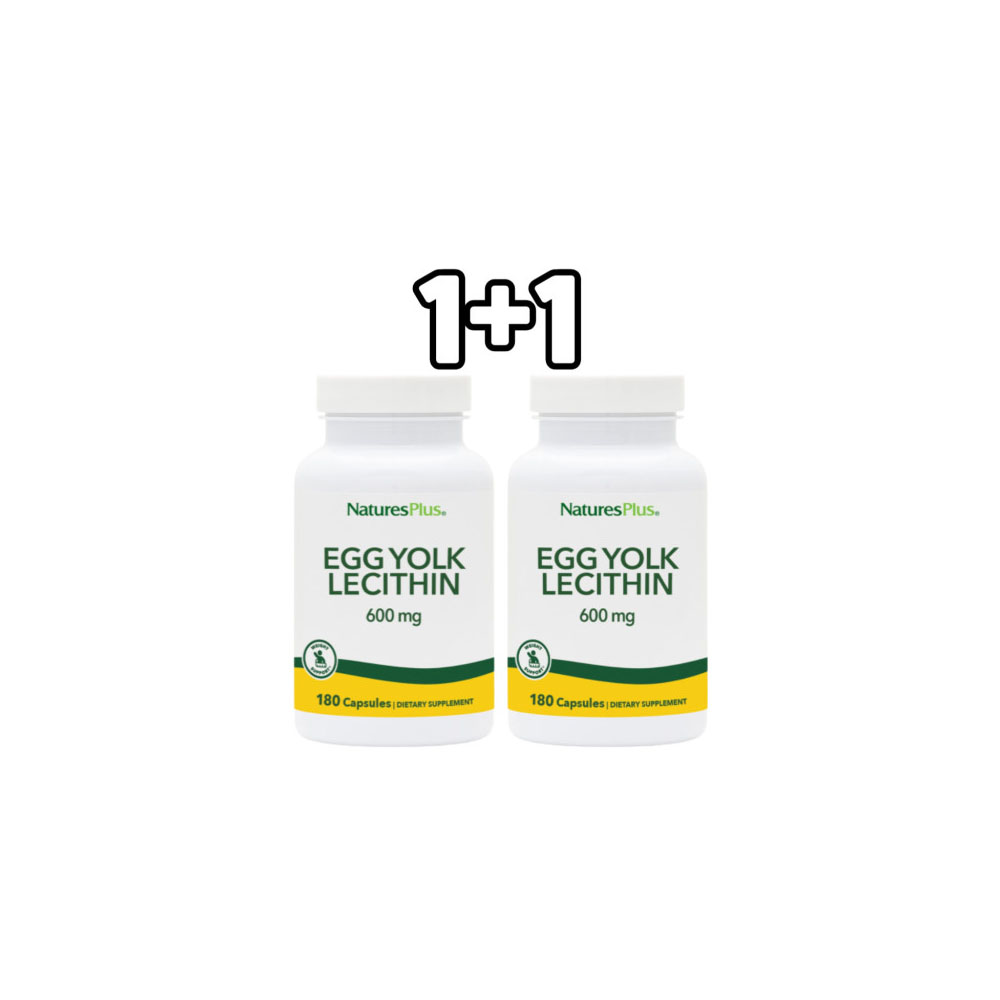 NaturesPlus 네이처스플러스 난유 난황 레시틴 600mg 180캡슐 2개 2통