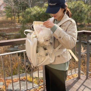 강아지 앞가방 슬링백 기내용 이동장 캐리어 애견 가방 백팩 벨루즈백 S