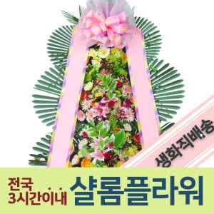 수도권축하화환 결혼식화환배송 결혼식화환전문 빠른쾌유선물 병문안선물 과일바구니배송 과일바구니업체