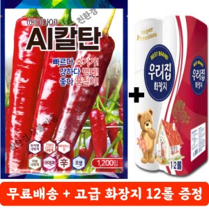고추 종자 AI칼탄 1200립 현대종묘 품종 에이아이칼탄 복합 탄저
