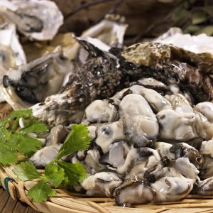 통영 생굴 굴 횟감용 김장용 1kg 2kg 3kg 4kg